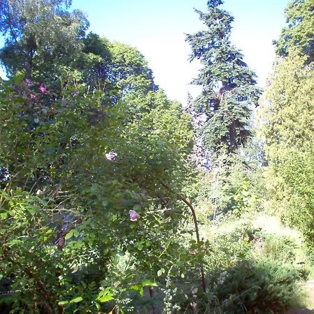Naturpur Apartment